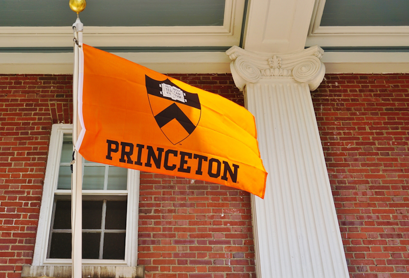 Princeton Professor Posts Resume Of Failures Higher Education